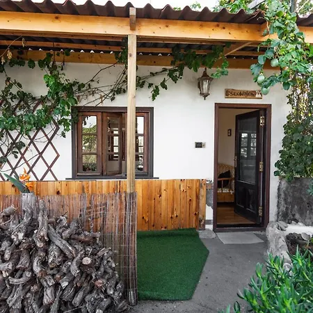 Conejos Lantgård Santa Cruz de Tenerife