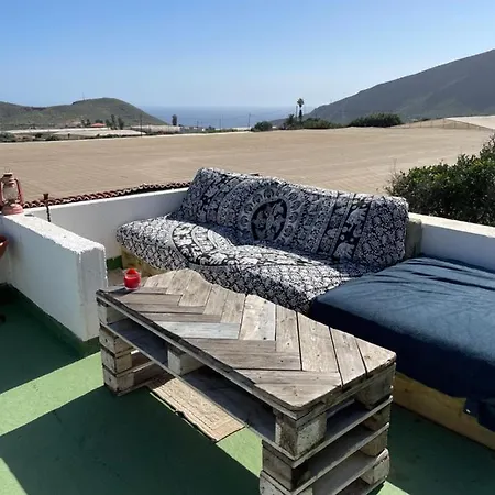 Conejos Santa Cruz de Tenerife