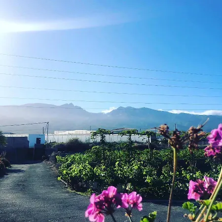 Conejos Farm stay *