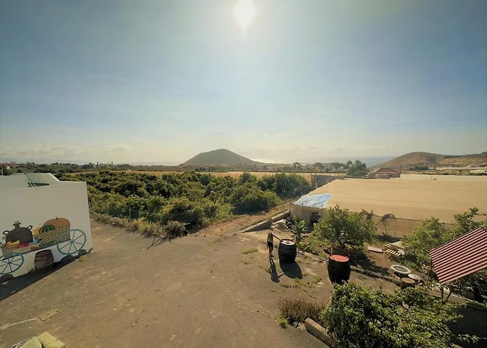 Conejos בית חווה *